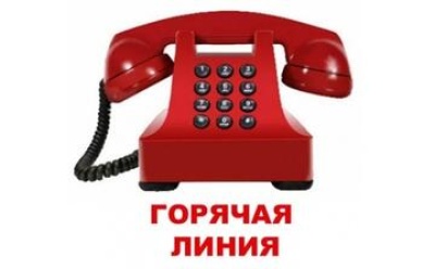 Телефонная «горячая линия»