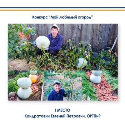 Конкурс  «Мой любимый огород» 