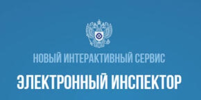 &quot;Электронный инспектор&quot;