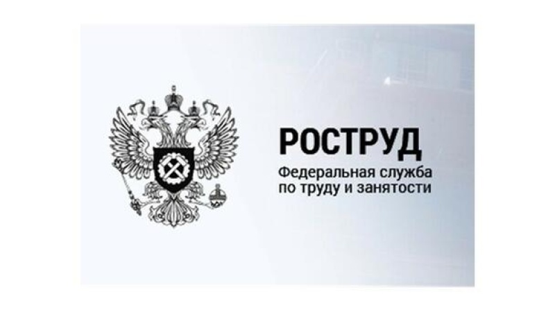 Презентация на тему федеральная служба по труду и занятости