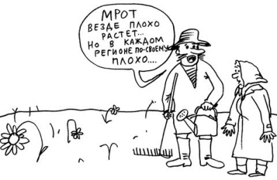 В Минтруде составили график повышения МРОТ до прожиточного минимума