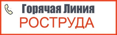 «Коронавирус: горячая линия» РОСТРУДа: